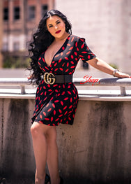 Fashionista Dress